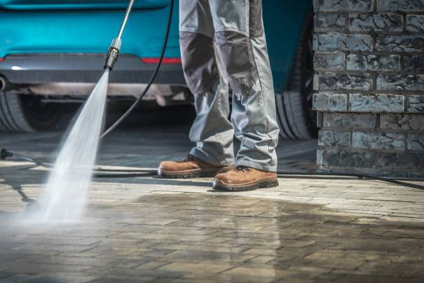 Best Animal Enclosure Cleaning  in Channahon, IL