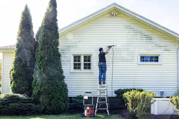 Best House Exterior Washing  in Channahon, IL